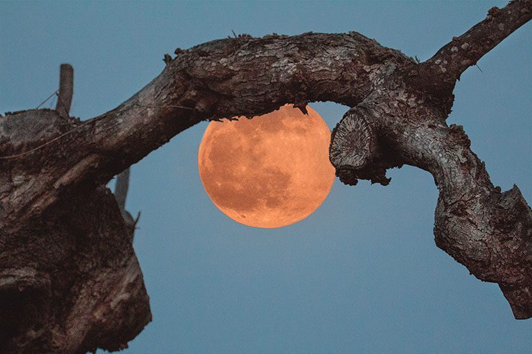 Ville in affitto in Puglia - Salento - Divertimento - Notte