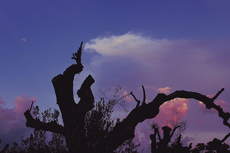 Ville in affitto in Puglia - Salento - Tramonto